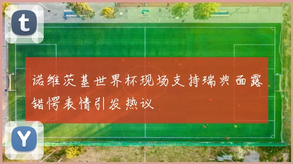 诺维茨基世界杯现场支持瑞典面露错愕表情引发热议